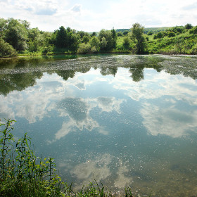 Рогожкинское озеро